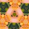Kaleidoscope pattern with pink and green shapes.