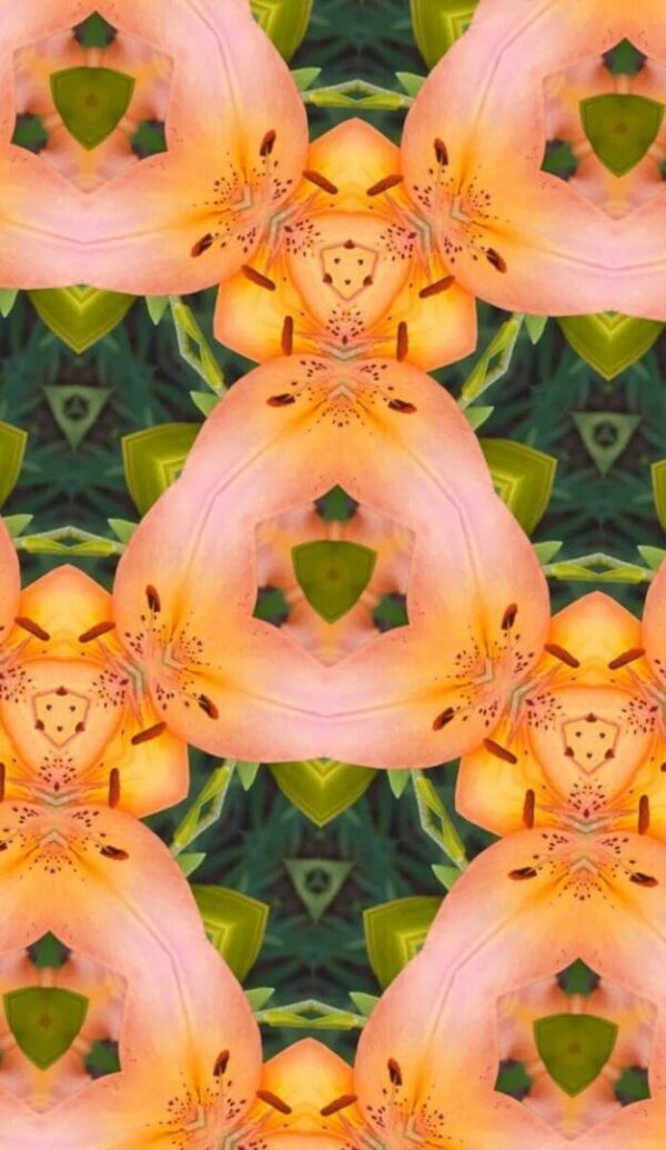 Kaleidoscope pattern with pink and green shapes.