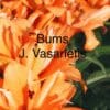 Orange lilies with text overlay.
