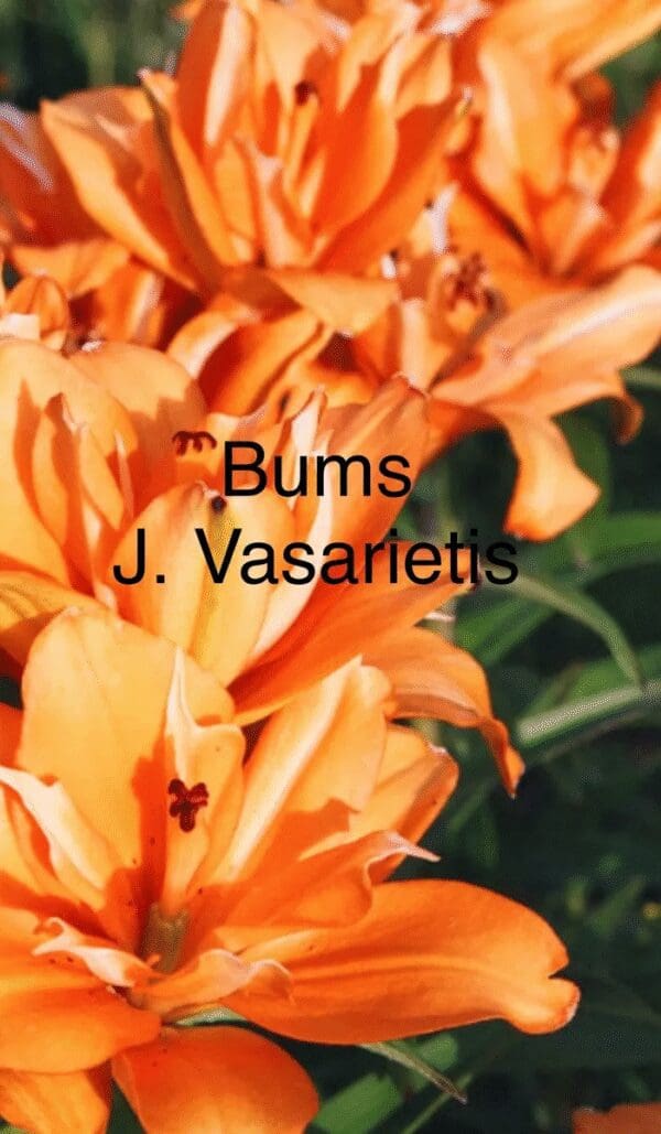 Orange lilies with text overlay.