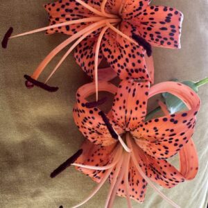 Close-up of vibrant orange tiger lilies with dark spots and long stamens.