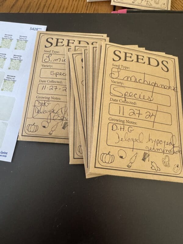 Handmade seed packets labeled with plant names and instructions.
