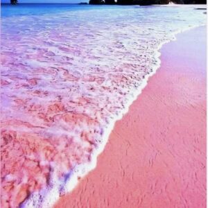 Pink sand beach with gentle waves under a blue sky.