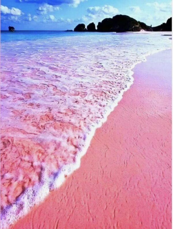 Pink sand beach with gentle waves under a blue sky.