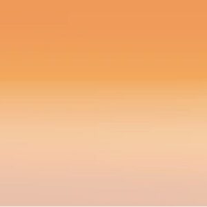 Gradient background transitioning from orange to light peach.