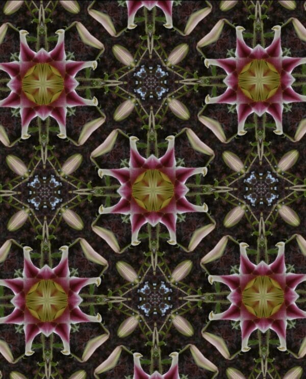 Intricate geometric pattern with star shapes and floral elements in earthy tones.