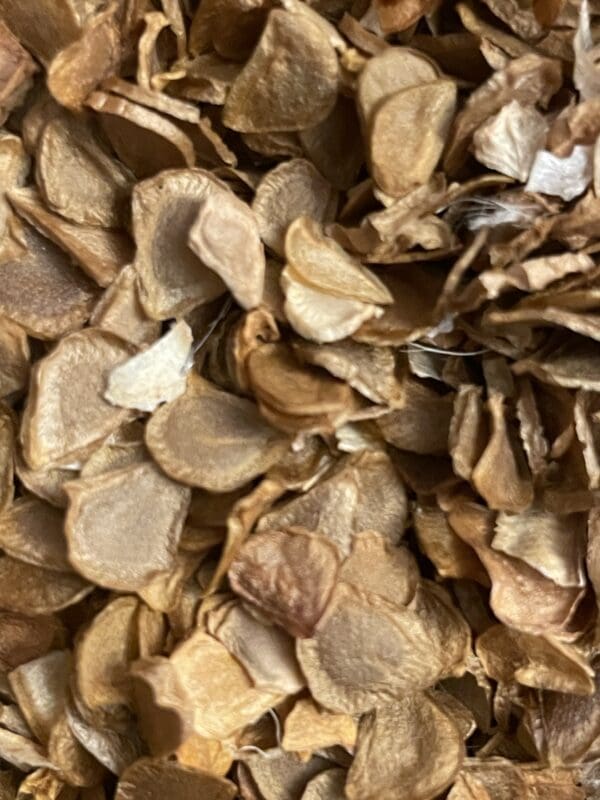 Close-up of dried mushroom slices layered together.