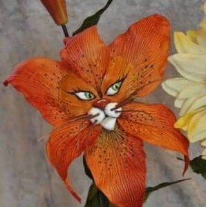 A flower with petals shaped and colored like a cat's face.