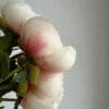 A close-up of a cotton plant with white fluffy cotton bolls.