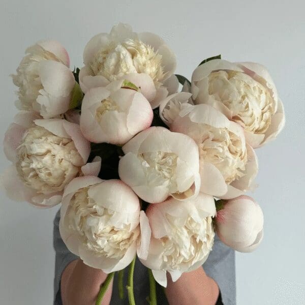 A bouquet of white peonies in a glass vase.