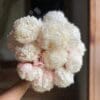 A hand holding a bouquet of fluffy white and pale pink flowers.