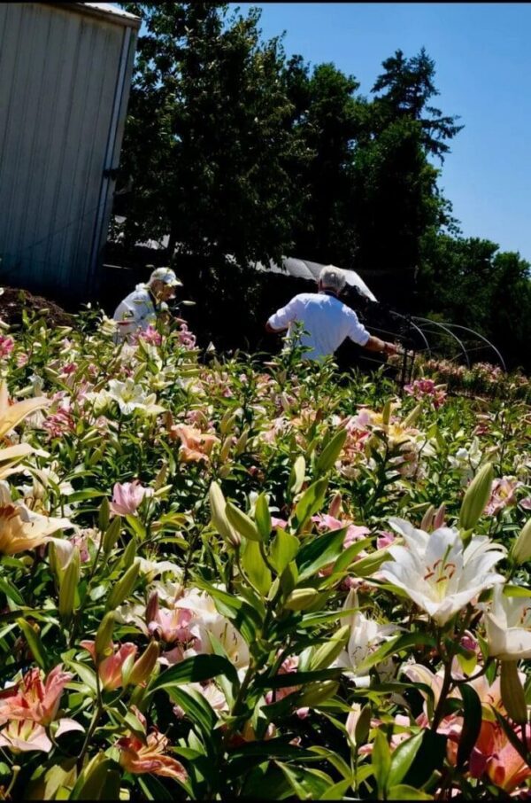 Two people enjoying a sunny day in a blooming garden.