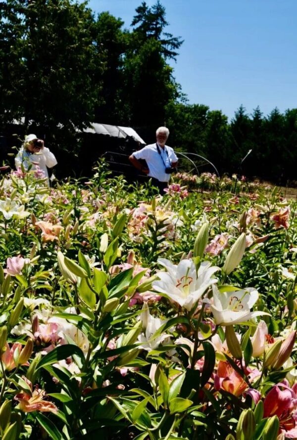 People exploring a vibrant flower field under a sunny sky.