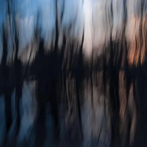 Abstract blurred image with dark vertical shapes against a dusky sky.