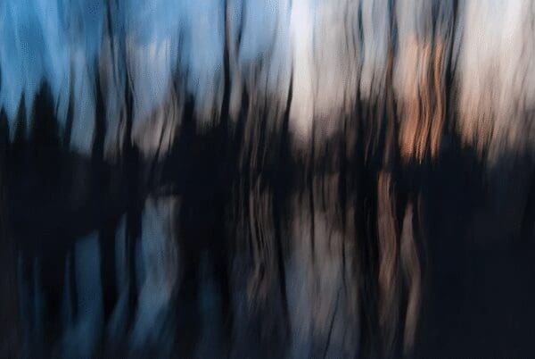 Abstract blurred image with dark vertical shapes against a dusky sky.