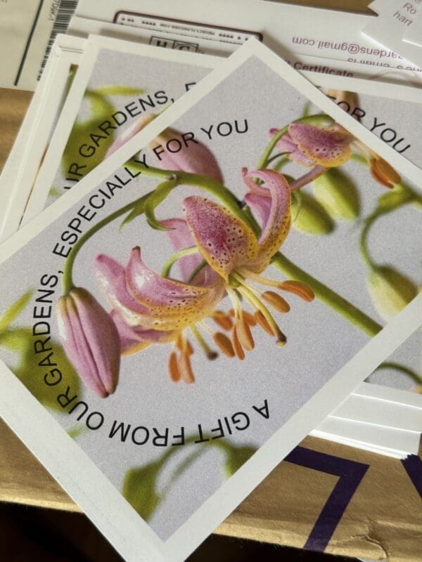 Close-up of special orchid greeting cards with pink and yellow flowers.
