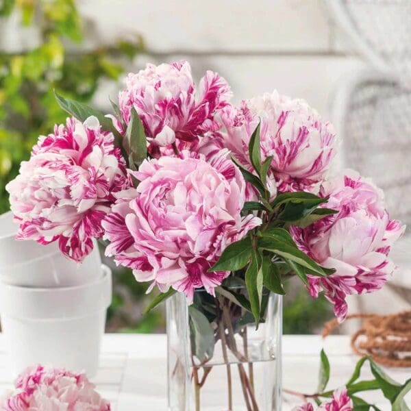 A bouquet of pink peonies in a clear glass vase.