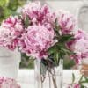 A bouquet of pink peonies in a glass vase.
