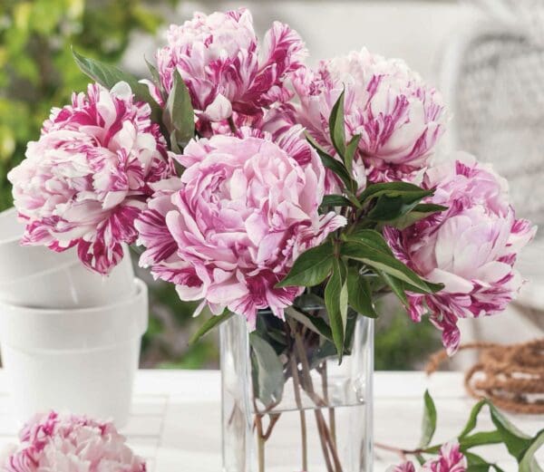 A bouquet of pink peonies in a glass vase.