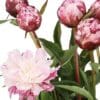 Pink peonies with lush green leaves in bloom.