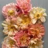 A bouquet of soft pink, peach, and cream flowers.
