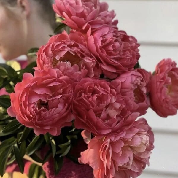 A bouquet of vibrant pink roses held by a person.
