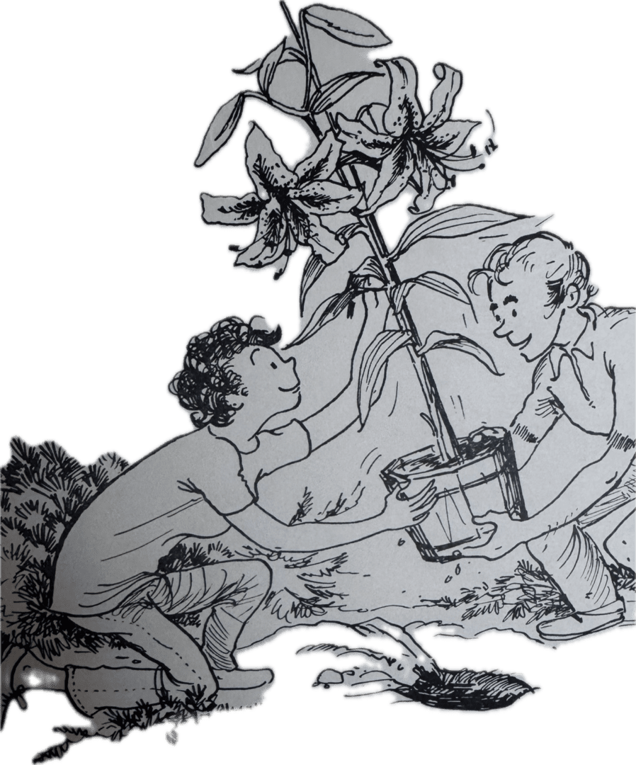 Container Planting Benefits