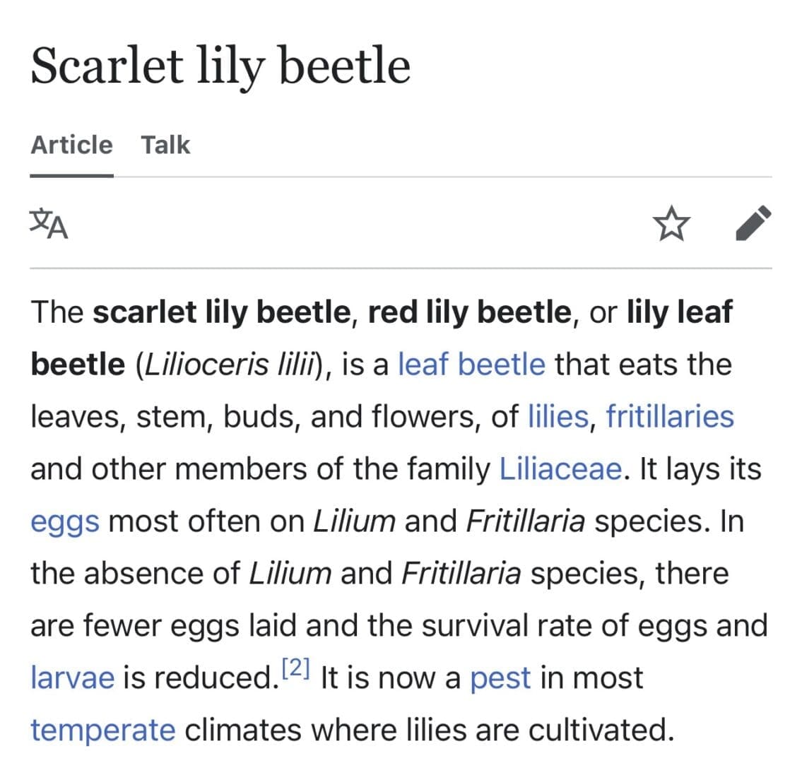 CONTROL LILIOCERIS LILII